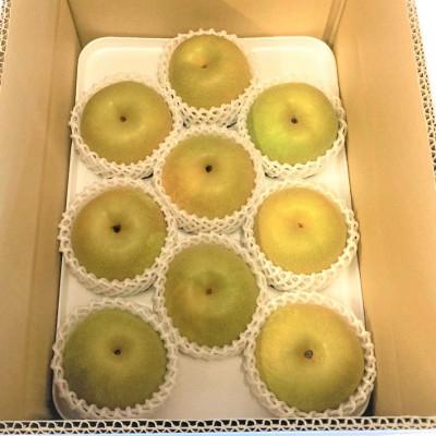 ふるさと納税 筑前町 [産地直送]筑前町の豊かな自然の中で育まれた梨 約3kg(5玉〜9玉)