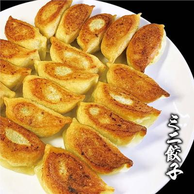 ふるさと納税 古河市 ミニ餃子三昧セット(M6)ミニ餃子3包み(6人前) | 餃子 焼餃子 ぎょうざ _CO15