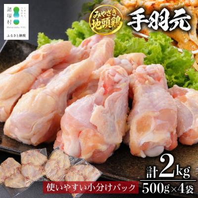 ふるさと納税 諸塚村 宮崎県が誇る「みやざき地頭鶏」の手羽元 500g×4P
