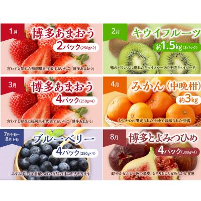 ふるさと納税 宗像市 【定期便/年11回】JAむなかた厳選!旬のフルーツ定期便【JAほたるの里】_HB0171_2