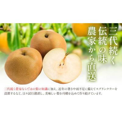 ふるさと納税 野木町 梨 なし 幸水 約 5kg 矢畑むらづくり組合《7月下旬-8月中旬頃出荷予定》_1