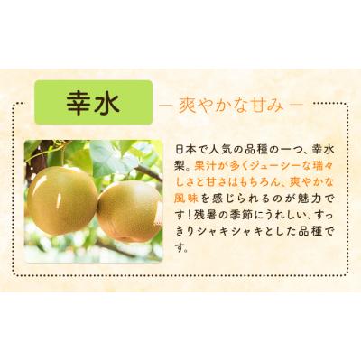 ふるさと納税 野木町 梨 なし 幸水 約 5kg 矢畑むらづくり組合《7月下旬-8月中旬頃出荷予定》_2