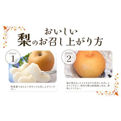 ふるさと納税 野木町 梨 なし 幸水 約 5kg 矢畑むらづくり組合《7月下旬-8月中旬頃出荷予定》_3