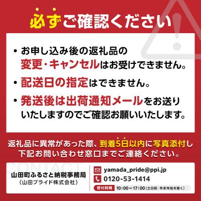 ふるさと納税 山田町 山田湾シーカヤック クルーズ券 2名分【ジオトレイル カヤック フードプログラム】三陸山田 山田町_3
