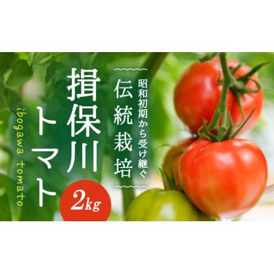 ふるさと納税 たつの市 酸味と甘みのバランスがよい「揖保川トマト」2kg[発送時期:12月〜6月]H-14