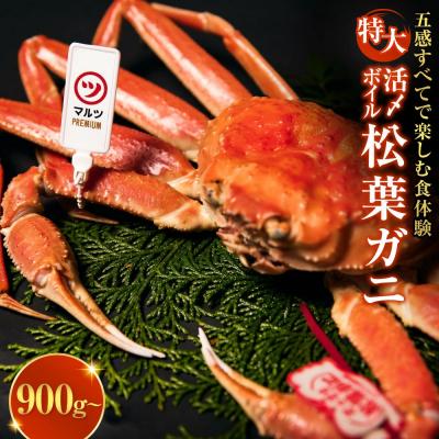 ふるさと納税 境港市 <土日祝着><11月上旬〜配送予定>[マルツPREMIUM]活〆ボイル松葉蟹(900g〜)
