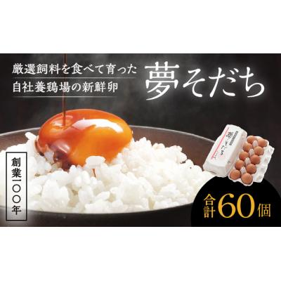 ふるさと納税 たつの市 創業100年の藤橋商店が育んだ「夢そだち(60個)」H-56