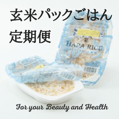 ふるさと納税 湯沢市 [定期便]あきたこまち玄米パックごはん 6ヵ月 144食分[パックごはん乳酸菌入り][E2304]