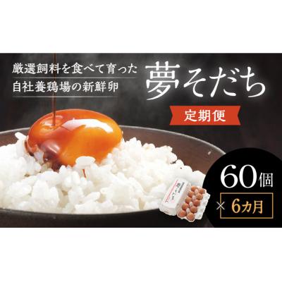 ふるさと納税 たつの市 [6カ月定期便]お届け日時の指定必須「夢そだち60個」厳選飼料を食べて育った新鮮卵を♪E-24