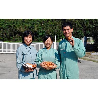 ふるさと納税 たつの市 【6カ月定期便】お届け日時の指定必須「夢そだち60個」厳選飼料を食べて育った新鮮卵を♪E-24_3