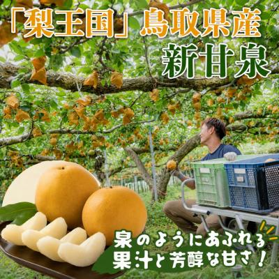 ふるさと納税 八頭町 新甘泉(赤秀) 3kg【やまさきファーム】_1