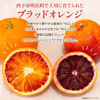 ふるさと納税 西予市 \u003cブラッドオレンジジュース 720ml 6本セット\u003e渡江　愛媛　えひめ　ジュース_1