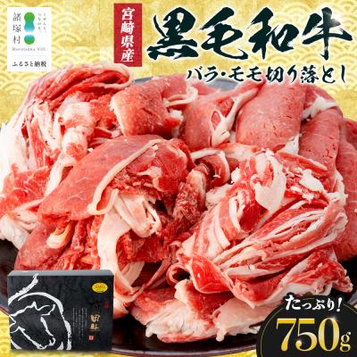 ふるさと納税 諸塚村 宮崎県産黒毛和牛バラ・モモ切り落とし750g