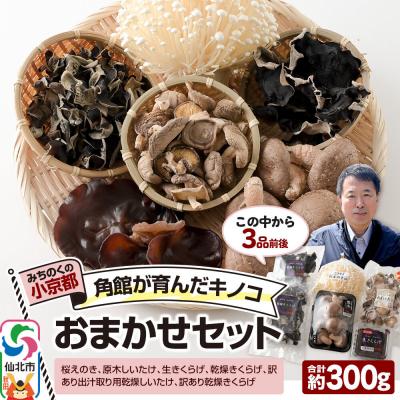 ふるさと納税 仙北市 角館が育んだ おまかせセット 合計約300g えのき きくらげ 椎茸|02_sne-010101