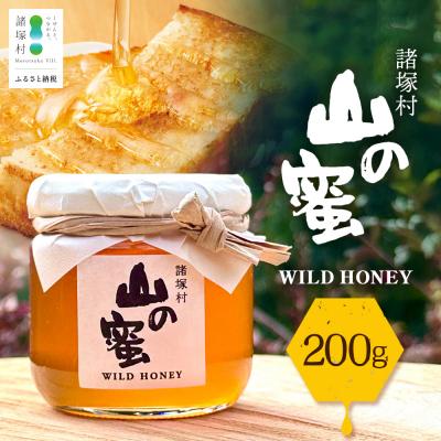 ふるさと納税 諸塚村 はちみつ 山の蜜 200g×1本