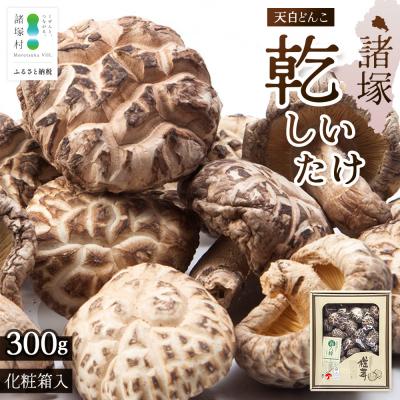ふるさと納税 諸塚村 [化粧箱入り]宮崎県諸塚村産 天白どんこ 約300g