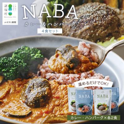 ふるさと納税 諸塚村 NABAカレー バターチキンカレー&amp;ハンバーグアンチョビソース掛け セット 2種各2食 計4食