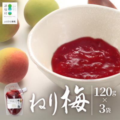 ふるさと納税 諸塚村 ご飯のお供や熱中症対策に!ねり梅 120g×3P
