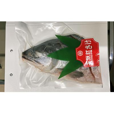 ふるさと納税 釧路市 7月発送 紅さけ姿造り 塩_2