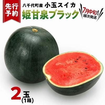 ふるさと納税 八千代町 [先行受付]2026年7月中旬発送 小玉スイカ 姫甘泉ブラック 1箱(2玉入)[AV012ya]