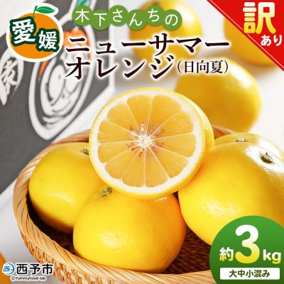 ふるさと納税 西予市 <木下さんちのニューサマーオレンジ 約3kg 訳アリ 愛媛 えひめ 木下農園>