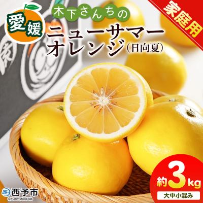 ふるさと納税 西予市 <木下さんちのニューサマーオレンジ 約3kg 家庭用 愛媛 えひめ 木下農園>
