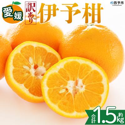 ふるさと納税 西予市 <[訳あり]愛媛県産 伊予柑 約1.5kg 三代目みかん職人 >果物 えひめ