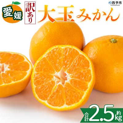 ふるさと納税 西予市 <[訳あり]愛媛県産 大玉みかん 約2.5kg 三代目みかん職人 蜜柑 果物 くだもの>えひめ
