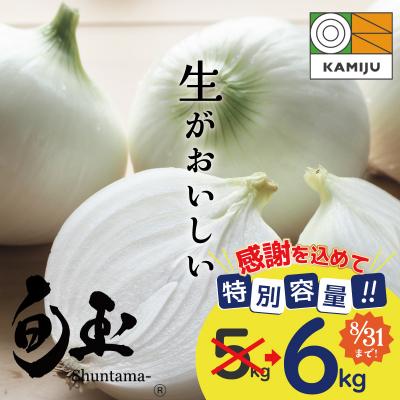 ふるさと納税 碧南市 (予約受付)[期間限定特別容量5→6kg]≪某TVで紹介≫ 新玉ねぎ「旬玉」6kg
