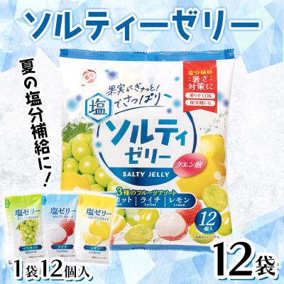 ふるさと納税 富岡市 [夏季限定] 夏塩分補給に!ソルティーゼリー (18g×12個入)×12袋 F21E-561
