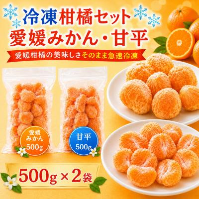 ふるさと納税 愛南町 冷凍柑橘セット 愛媛みかん・甘平 500g×2袋 みかん職人武田屋