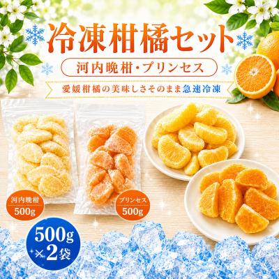 ふるさと納税 愛南町 冷凍柑橘セット 河内晩柑・プリンセス 500g×2袋 みかん職人武田屋