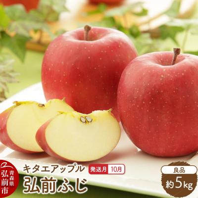ふるさと納税 弘前市 [26年10月発送]りんご 弘前ふじ[良品]約5kg|24_kta-150501h