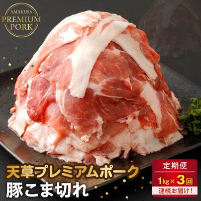 ふるさと納税 天草市 [定期便3回]天草プレミアムポーク 豚こま切れ約1.0kg _S058-026-T03