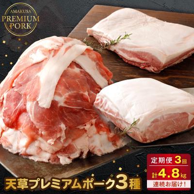 ふるさと納税 天草市 [定期便3回]天草プレミアムポーク 3種 (豚バラ、豚こま切れ、豚ロース)_S058-T03