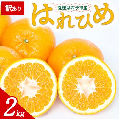 ふるさと納税 西予市 [先行受付]<訳あり 愛媛県産 はれひめ 約2kg>ミヤモトオレンジガーデン えひめ