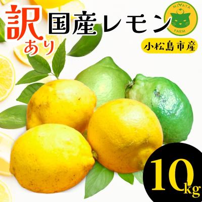 ふるさと納税 小松島市 [2026年11月発送]訳ありレモン10kg国産 レモン 檸檬 れもん ワックス不使用 防腐剤不使用