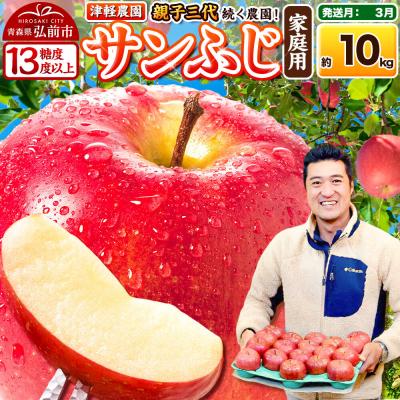ふるさと納税 弘前市 [27年3月クール便発送]りんご サンふじ[家庭用]約10kg|24_tgn-011001c
