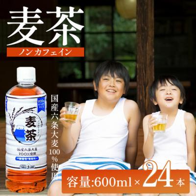 ふるさと納税 小山町 小山町産 ペットボトル飲料 麦茶600ml×24本