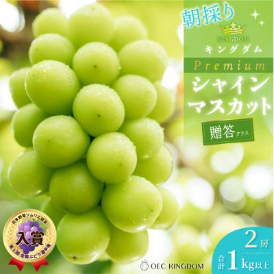 ふるさと納税 瀬戸内市 [先行受付]プレミアムシャインマスカット 2房(1kg以上)贈答クラス 岡山県産[21F7001]
