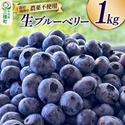 ふるさと納税 三種町 生ブルーベリー 1kg 秋田県山本郡三種町産|05_std-011001