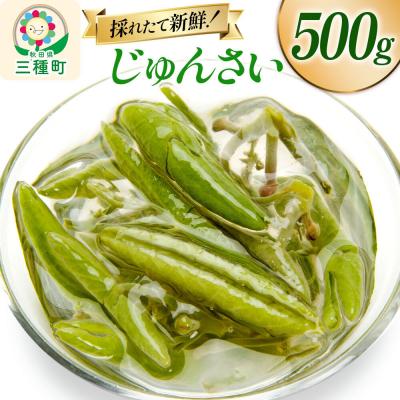 ふるさと納税 三種町 じゅんさい 500g 秋田県山本郡三種町産|05_std-020501