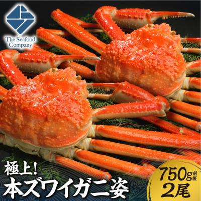 ふるさと納税 札幌市 極上!本ズワイ蟹の姿 750g 2尾_hs408-090