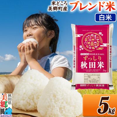 ふるさと納税 美郷町 ブレンド米[白米]精米 5kg(5kg×1袋)|01_ssn-010501h