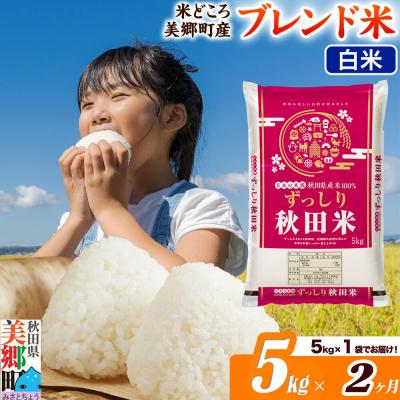 ふるさと納税 美郷町 [定期便2ヶ月]ブレンド米[白米]精米 5kg(5kg×1袋)|01_ssn-010502h