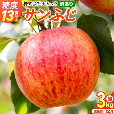 ふるさと納税 弘前市 りんご サンふじ[訳あり]約3kg(8〜13玉程度)先行受付|24_nmk-010301ae