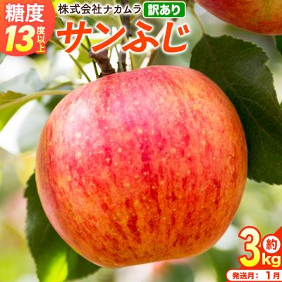 ふるさと納税 弘前市 りんご サンふじ[訳あり]約3kg(8〜13玉程度)先行受付|24_nmk-010301af