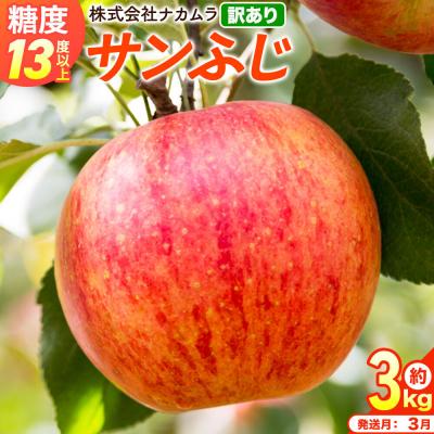 ふるさと納税 弘前市 りんご サンふじ[訳あり]約3kg(8〜13玉程度)先行受付|24_nmk-010301ah