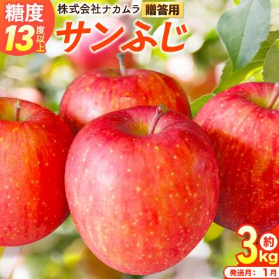 ふるさと納税 弘前市 りんご サンふじ[贈答用]約3kg(9〜12玉程度)先行受付|24_nmk-010301bf