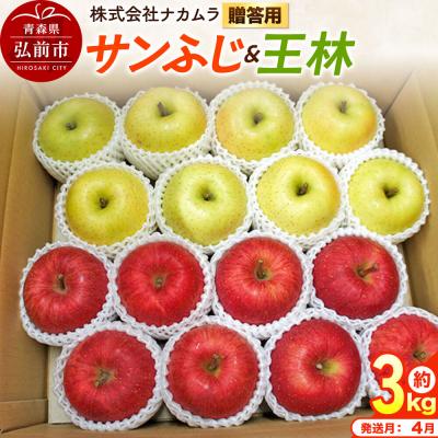 ふるさと納税 弘前市 りんご サンふじ・王林[贈答用]約3kg[CA貯蔵]先行受付|24_nmk-020301bi